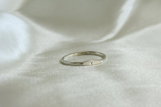 Initial Stacking Ring